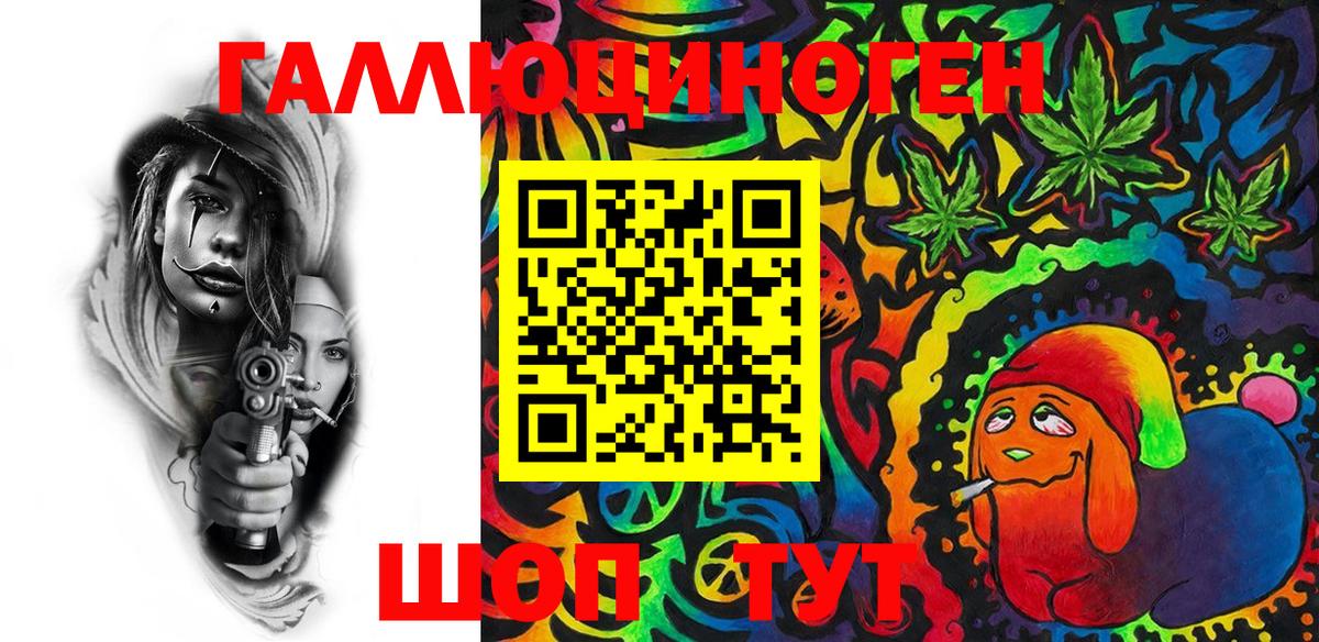 Псилоцибиновые грибы Psilocybe Среднеуральск
